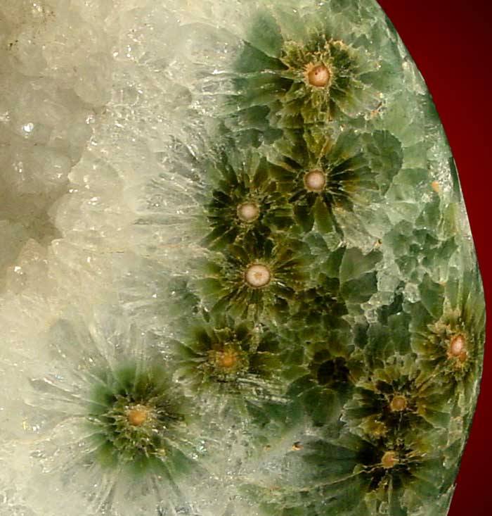 odditiesoflife:  The Mysterious Rediscovery of Ocean Jasper Ocean jasper is such