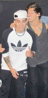 Harry Styles And Zayn Malik (One Direction)