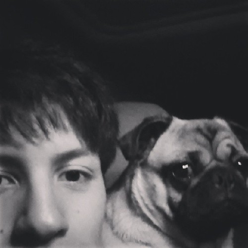 Yoo #pug #meandmynigga