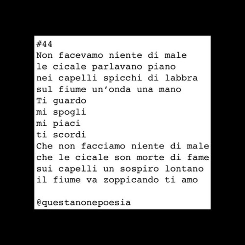 questanonepoesia