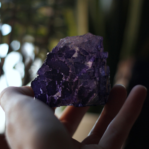 This cubic purple fluorite is also from a flea market. At first I thought it was just some random da