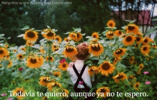 http://heeey-maria.tumblr.com/post/130367395061