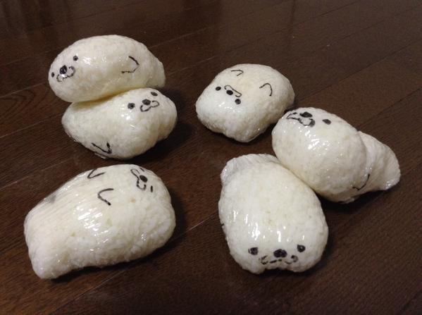 highlandvalley:  “ゴハンアザラシを冷凍庫で飼っています。 http://t.co/PmMkEO52B6”