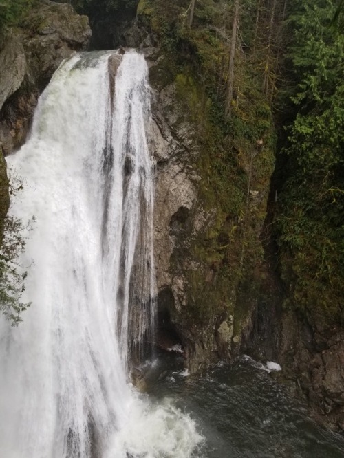 burningmine: Twin Falls State Park, April 2018 It was so rainy that I couldn’t take my camera 