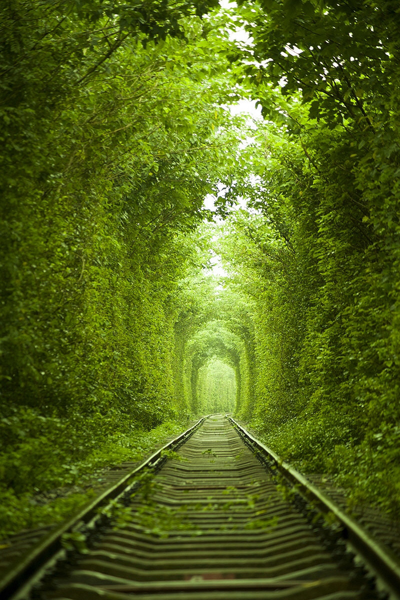 mingsonjia:  Green railway in Nanjing, Chinaby 星若梵河