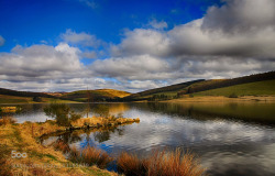 morethanphotography:  Backwater Reservoir In Spring by HildaMurray