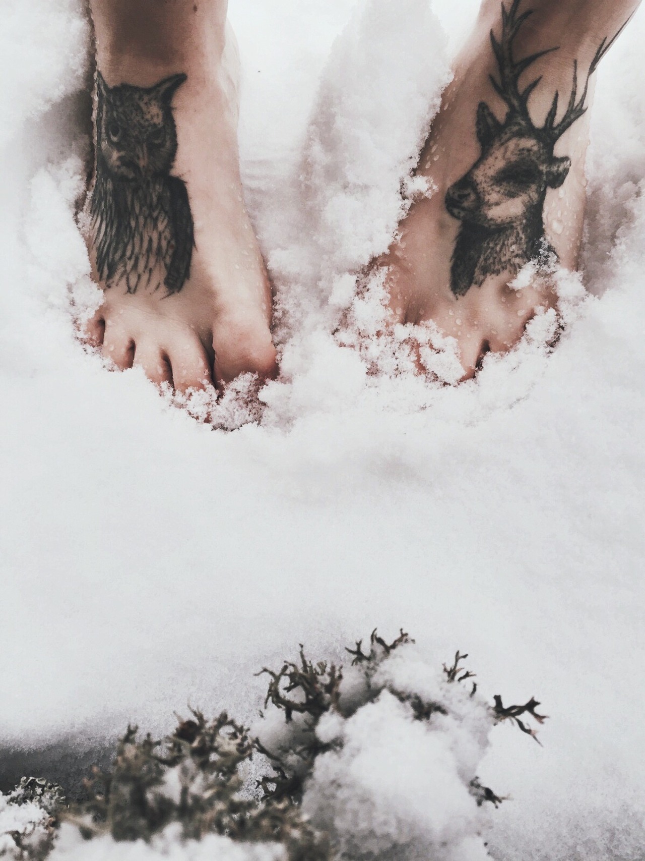 ghoulshavemorefun:  First snow. 