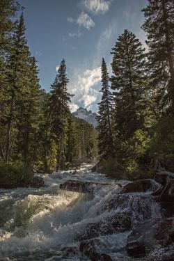 rivermusic:  Near Hidden Falls, Grand Teton