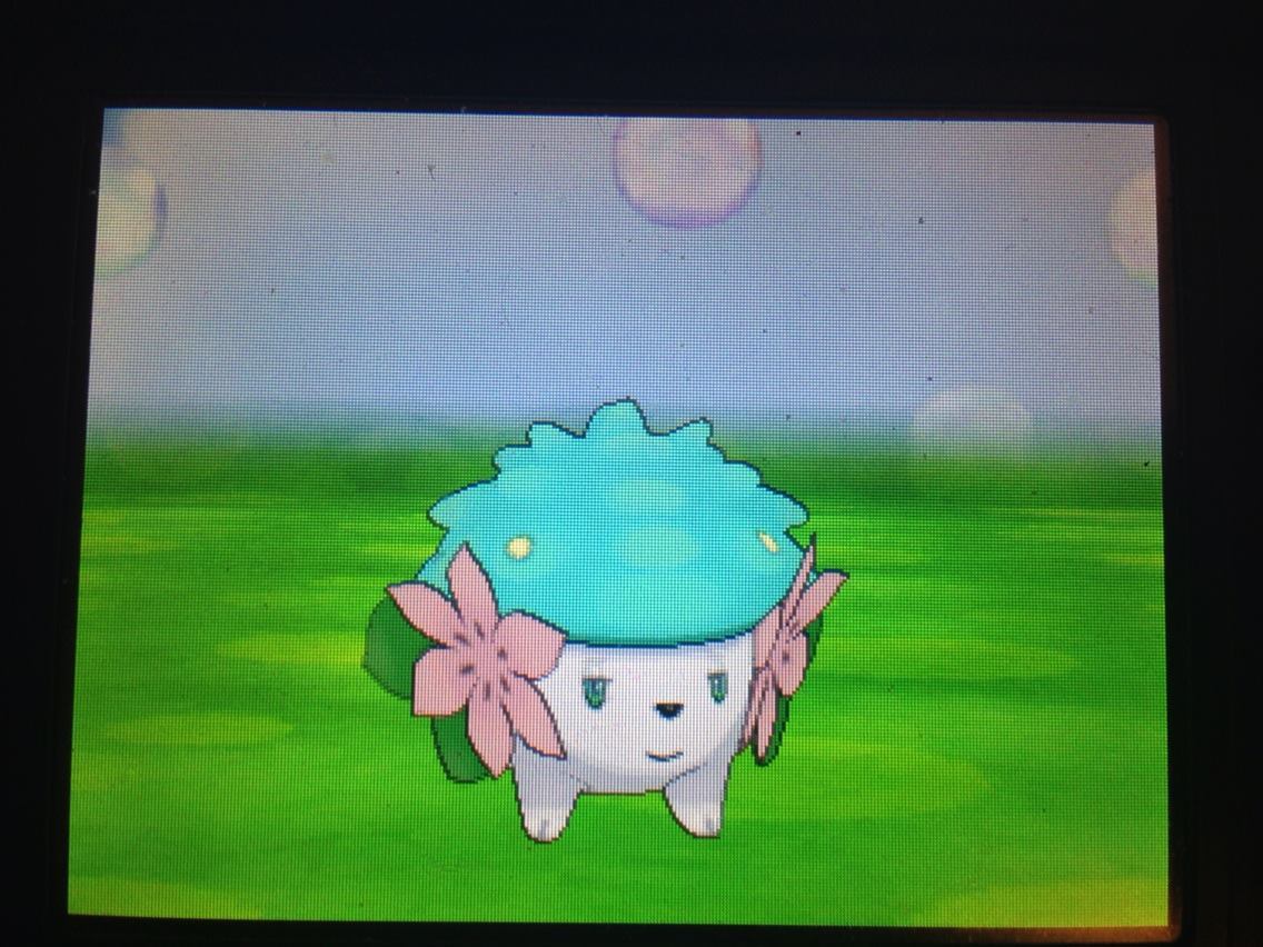 workinglynx:  workinglynx:  workinglynx:  workinglynx:  workinglynx:  POKEMON GIVEAWAY!