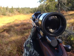 Militaryarmament:  Hunting Season In Norway. 