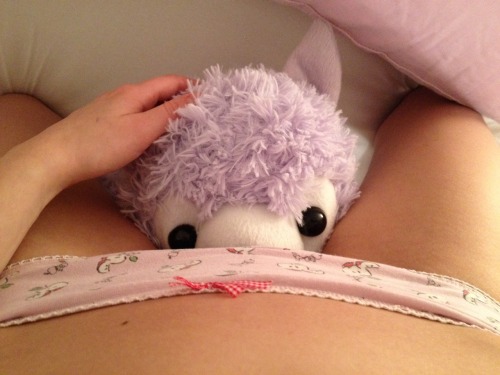 love-from-your-kitten:  A stuffie is shy. Like I am too sometimes.
