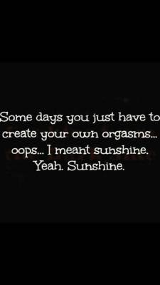 sassy-pantz:  lookingformypet:  love-is-for-the-foolish:  Everyday   Everybody likes Sunshine!  Sunshine is always good. I think this morning I should make some. 😈