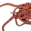 worm--town