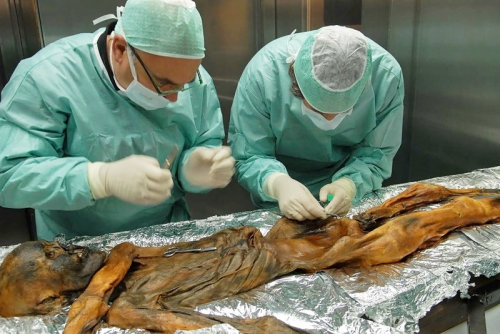 #TBT: Researchers have found, within the stomach of a prehistoric and well-preserved ice mummy (Oetz