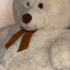 a-silent-bear