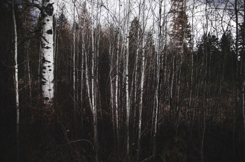 autumnsaurora: © Autumns Aurora Tumblr Flickr Instagram