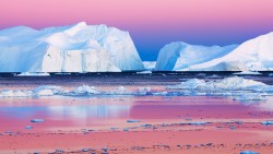 Dawn of the icebergs