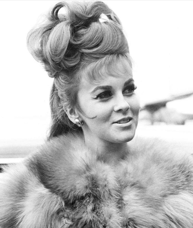 Ann-Margret - circa 1966 ⭐?