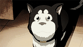 militarydivision:  RIZA HAWKEYE MOMENTS: Fullmetal Alchemist Brotherhood Episode
