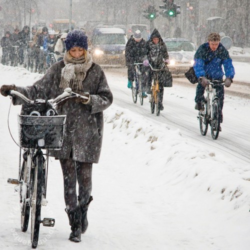 copenhagenvikingbiking:There’s one in every crowd. Sheesh. :-) #VikingBiking #Copenhagen