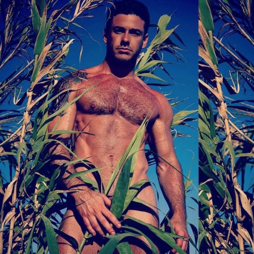 hairy nice men