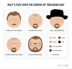 heisenbergchronicles:  Breaking Bad As Infographics by Jesse David Fox &amp; Linsey Fields for Vulture Brilliant.