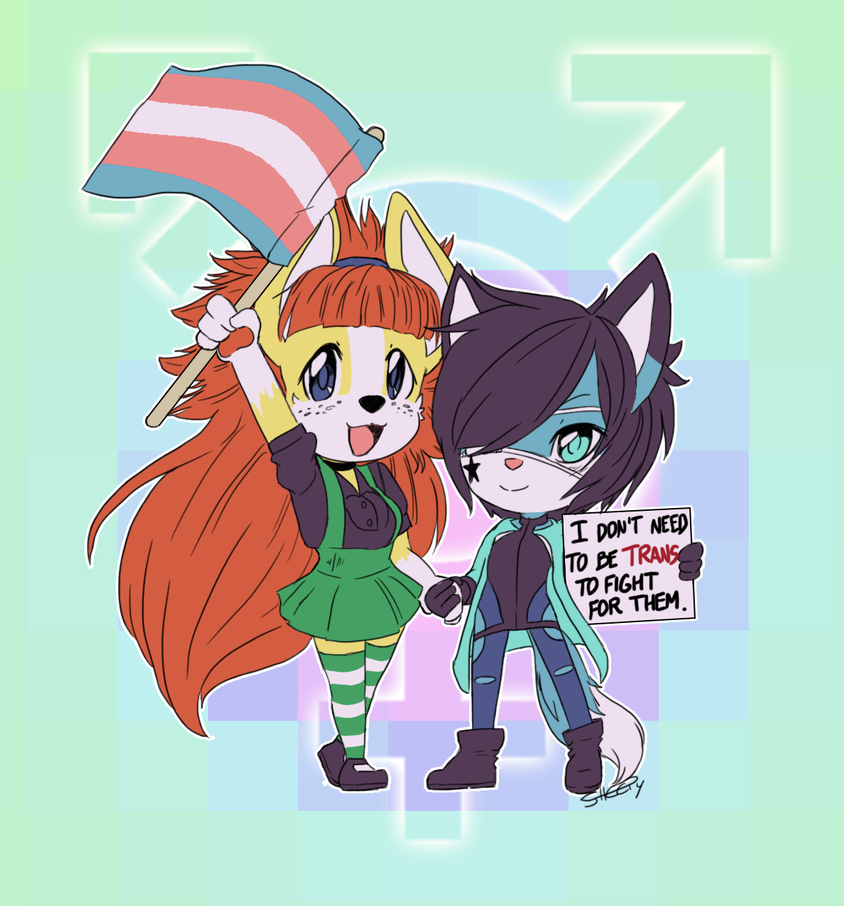 sheepythecottoncandy:  transgender visibility 