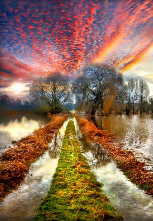 djferreira224:“Vortex” by Jean-Michel Priaux