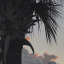beautifuloasis