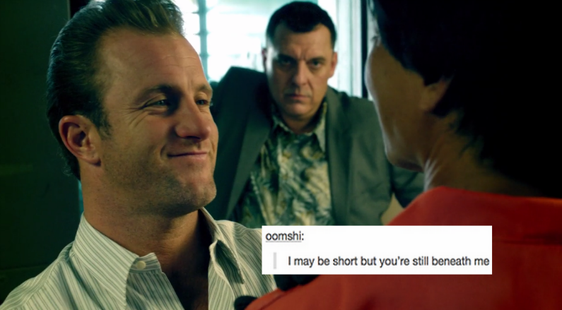 phantomavenger:  McDanno+Text Posts Pt2 (Pt1) General H50 Text Posts