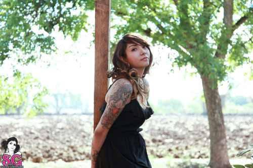 Ink - Beer - Babes