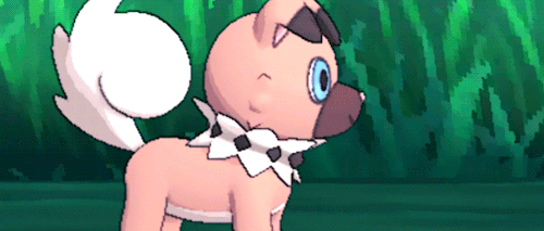 shelgon:   More Newly Discovered Pokémon (More info)  