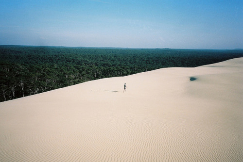 untrustyou:  lost one  Michel Nguie  