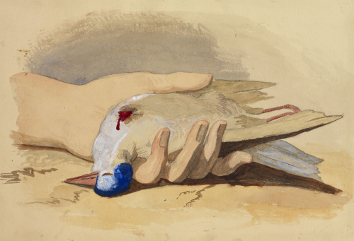 Princess Alice (apparently a birthday card for her father) - Study of a dead bird - 1852 - via Royal