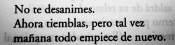 hachedesilencio:  Roberto Bolaño 