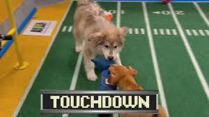 slytherinwithablog:  slytherinwithablog:  I don’t really care about the Super Bowl