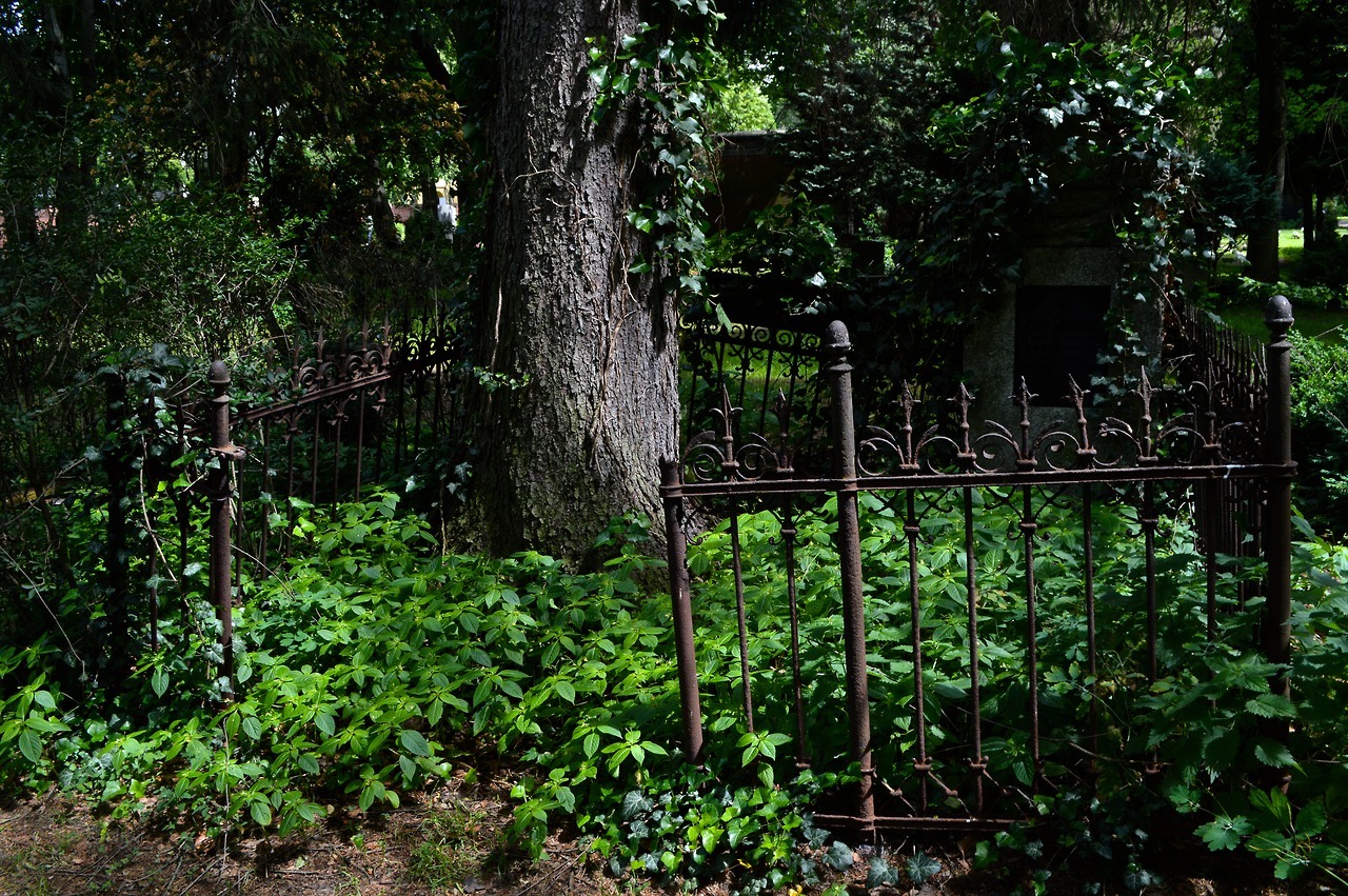 graniteonmypizza: Cemetery II of Sophiengemeinde Berlin, Germany, June 2017 