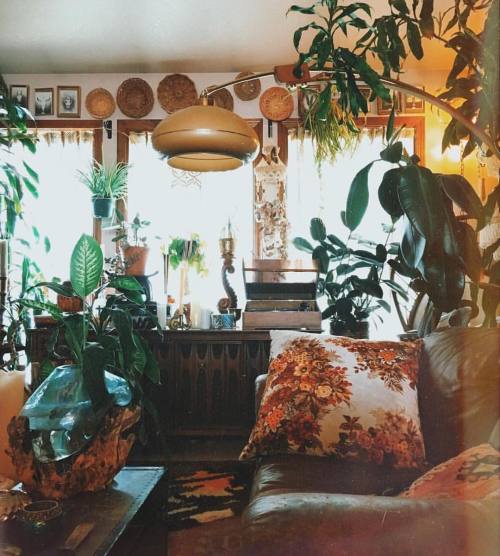 electricwest:  Major home envy 🌿 @ramblinstarr 