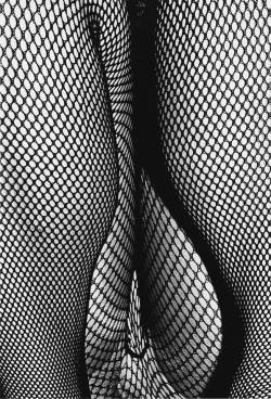 la-dame-de-la-nuit:  Daidō Moriyama   Y - Filet