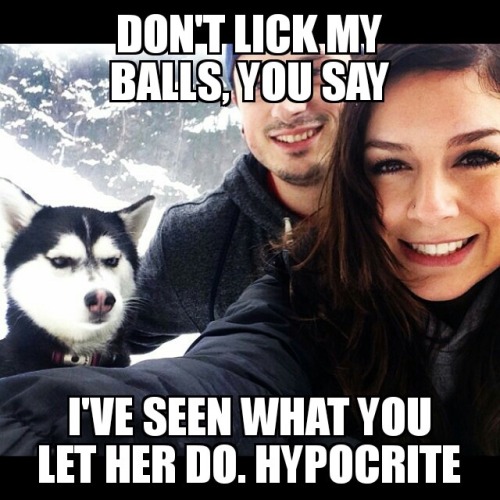 😂😂😂😂