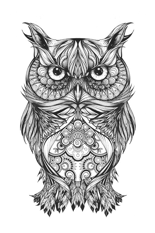 fer1972:  Greg the Owl by Greg Coulton 
