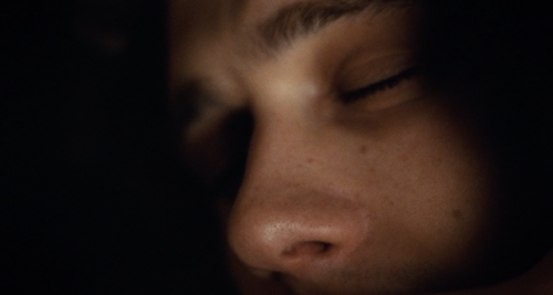 Milk, 2008Biographical Directed by Gus Van SantCinematography: Harris Savides