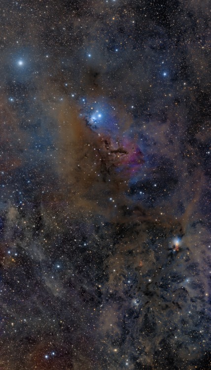 thedemon-hauntedworld:  Clouds of Perseus  Credit & Copyright: Image Data - Bob Caton, Al Howard, Eric Zbinden, Rogelio Bernal Andreo; Processing - Rogelio Bernal Andreo Cosmic clouds of gas and dust drift across this magnificent panorama, spanning