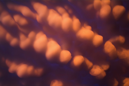 awkwardsituationist:  mammatus clouds, named for their resemblance to the mammary gland, form when air laden with big water droplets is carried to the top of a thunderstorm cloud whose altitude is cold enough to freeze the water droplets. the resulting