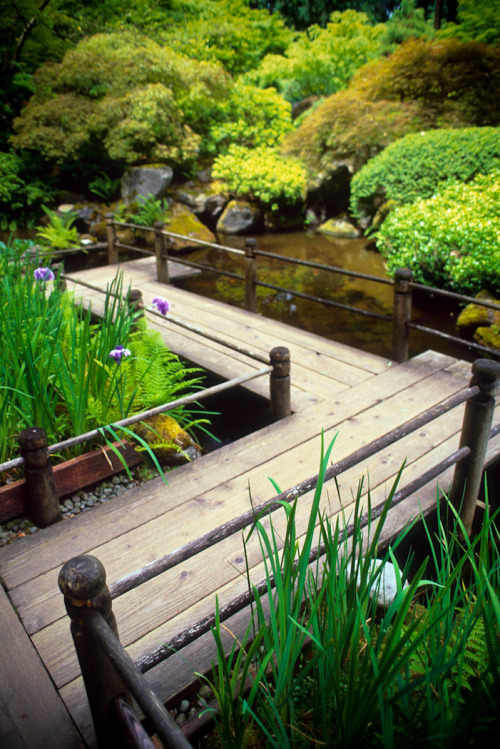hueandeyephotography:Pathway to Tranquility, Japanese Garden, Portland, Oregon© Doug Hickok  All Rig