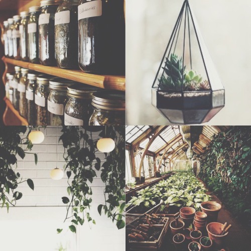 metallicwolf:hp aesthetics » hogwarts classes herbology / divination / astronomy / potions 