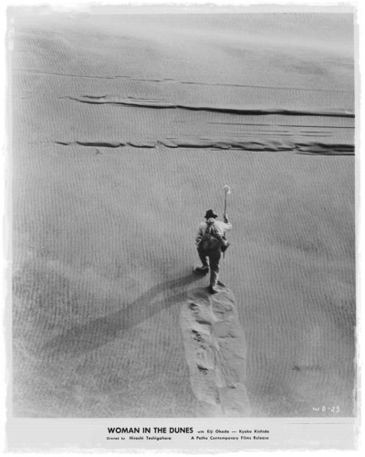 The Woman in the Dunes by Kōbō Abe The Woman in the Dunes by Kōbō Abe