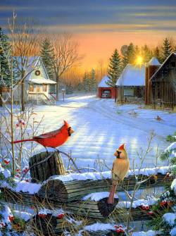 homesteadart: