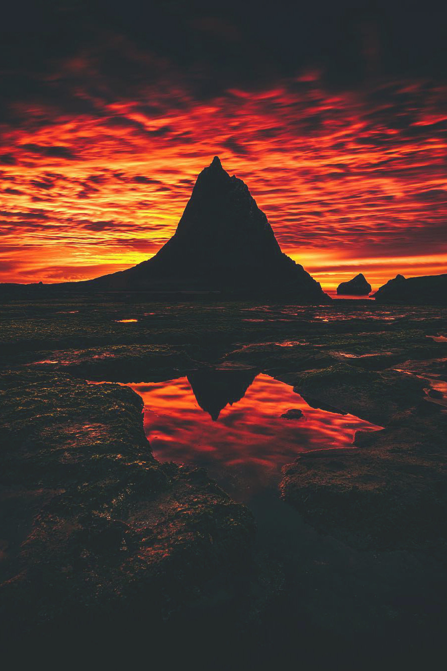 banshy:  Martin's Beach // Jude Allen 