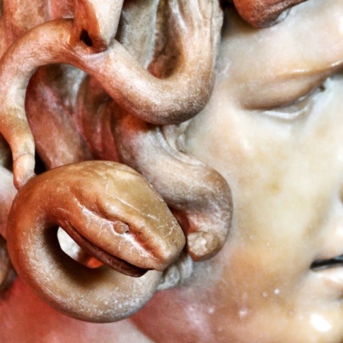 fuckindiva:Medusa by Gian Lorenzo Bernini, 1630